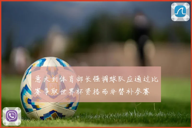 意大利体育部长强调球队应通过比赛争取世界杯资格而非替补参赛